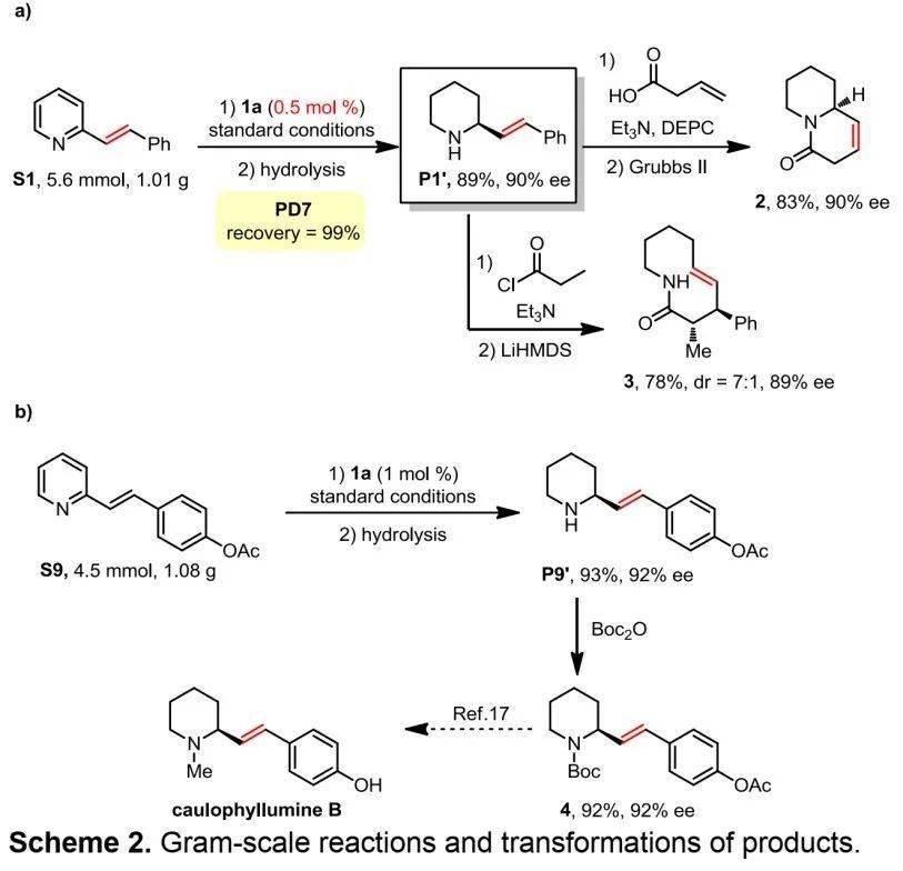 硼烷催化2烯基取代吡啶的化学选择性和对映选择性还原反应