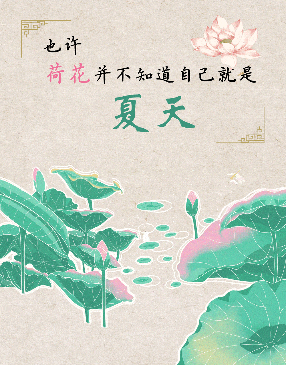 荷花并不知道自己就是夏天