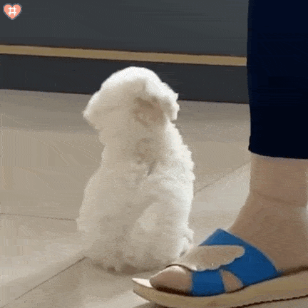 喜欢的话快给二叔你们觉得有趣的表情包呀~你们也可以跟二叔分享分享