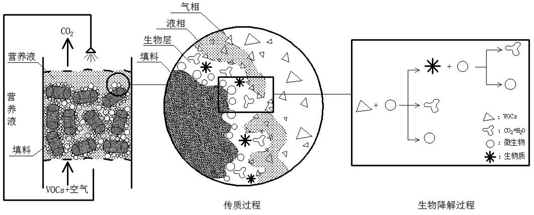 【2020年第7期】不同親水特性vocs在生物滴濾工藝中的作用規律