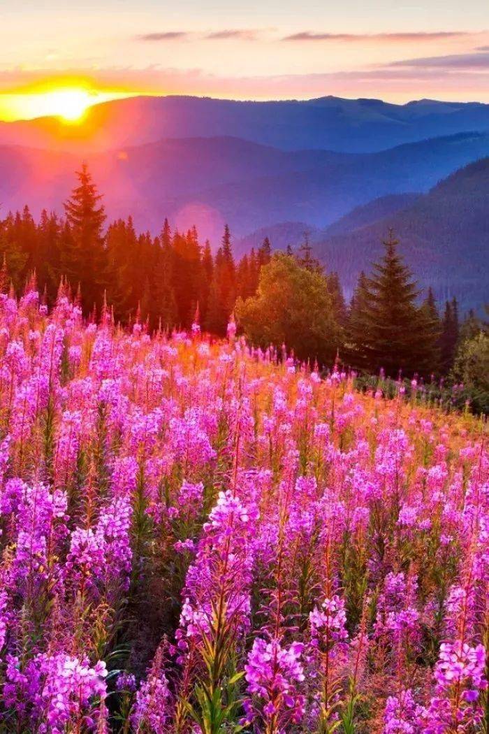 人品好的人,自带光芒(深度好文)