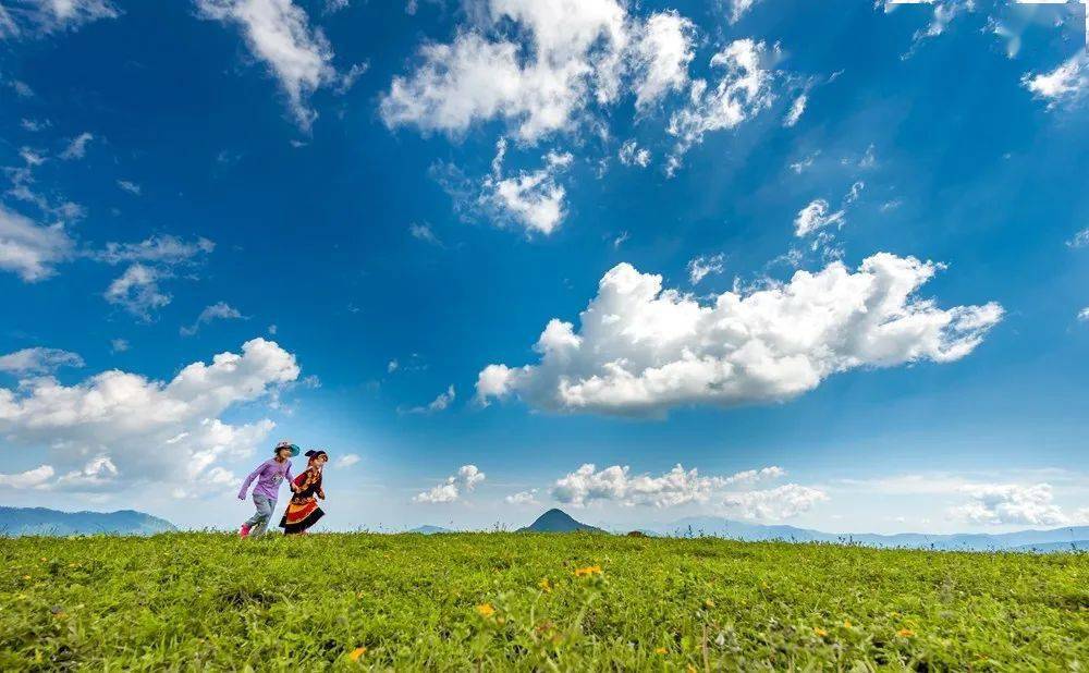 森林公園有桐子林,菩薩巖,高壩平湖,馬鹿寨,白坡山,老君廟,湖島風光