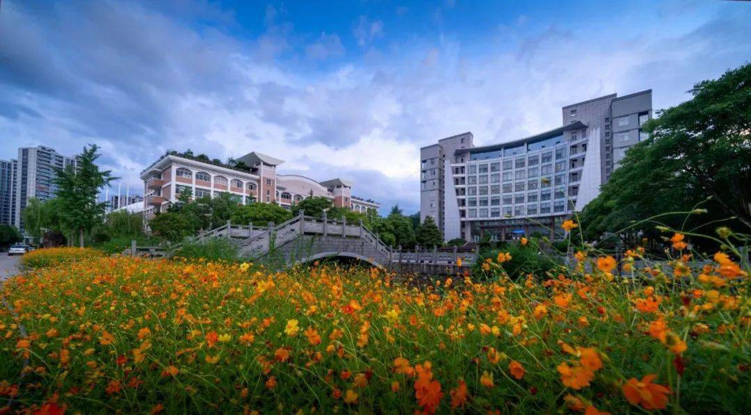 招办面对面计划招生2836人放开新生转专业限制丽水学院2020年招生政策