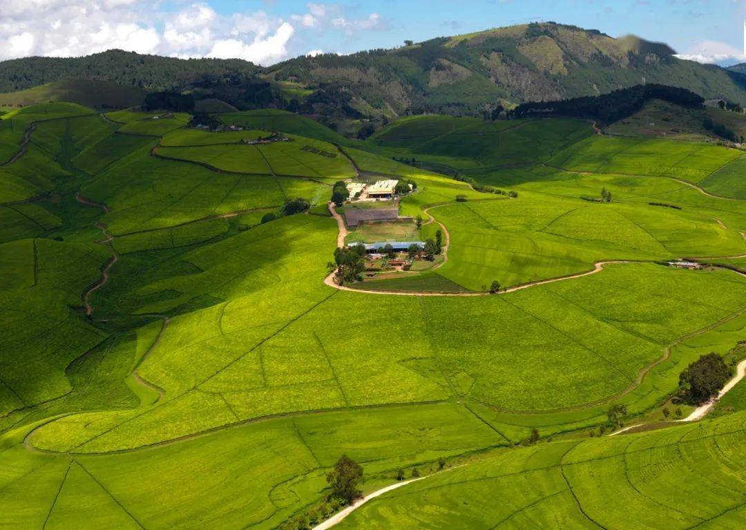 卢旺达拥有最原始风情的自然风光,满屏绿色溢出,风景美的令人难以置信