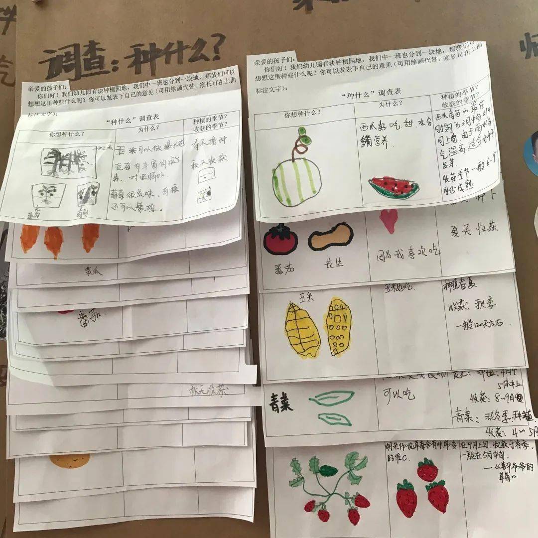 调查表种什么我想种番茄,花生,因为刚好是春天播种的,夏天收获啦!