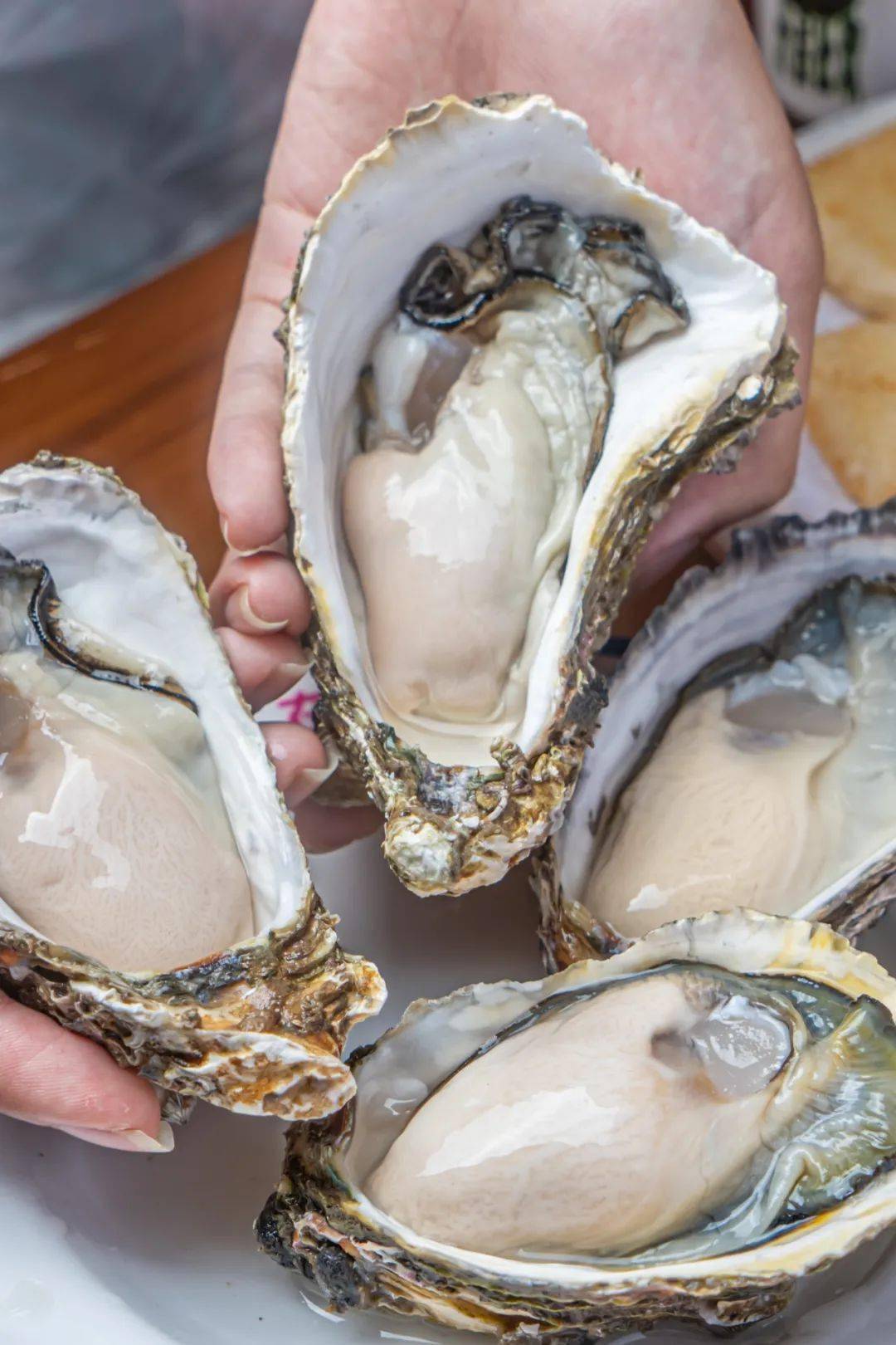 巨贪心的"600℃生蚝火锅",3.9折边涮边烤!