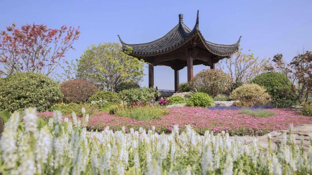 夏日打卡临平这些特色公园你最pick哪一个