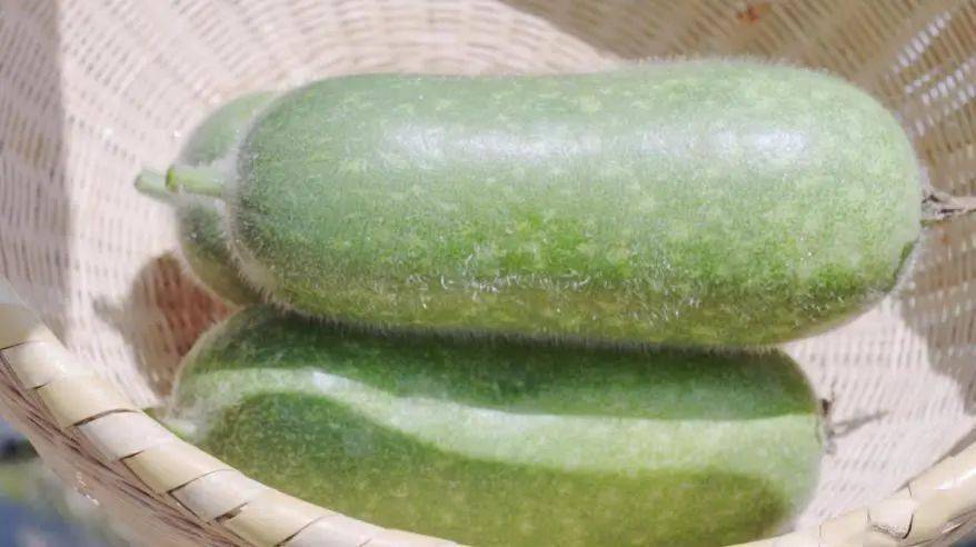 脾胃虚弱者的"清热祛暑"佳物!