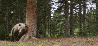 超赞豆瓣99分bbc最棒的5部纪录片承包孩子整个暑假