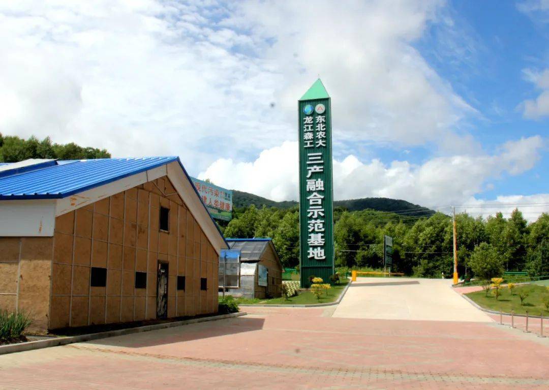 亚布力林业局有限公司与东北农业大学生猪福利养殖特色产业合作项目有