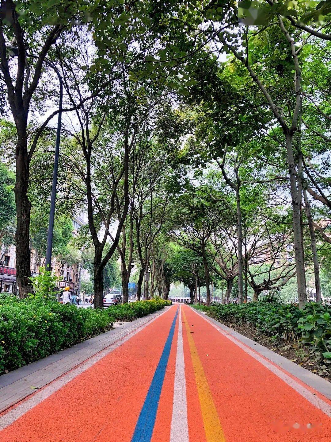 为了你的健身锦江公园绿道都这么好看了