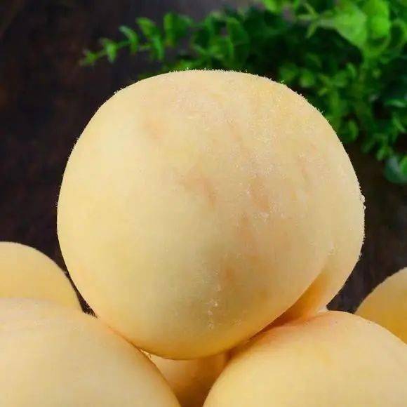 桃界爱马仕来袭白玉蜜桃脆甜多汁299元顺丰包邮