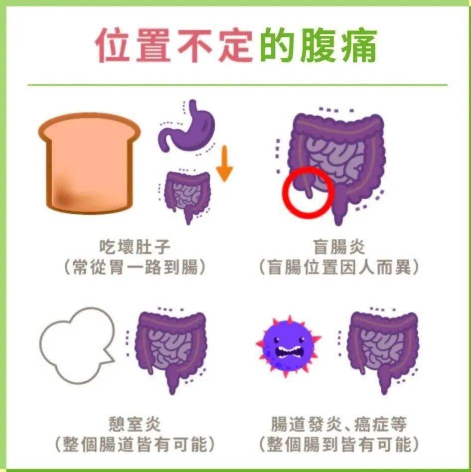 后腹部疼痛9位置图图片