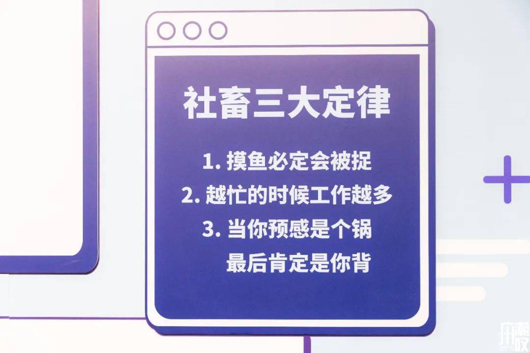 万菱汇社畜金句展开在巨型罐头里