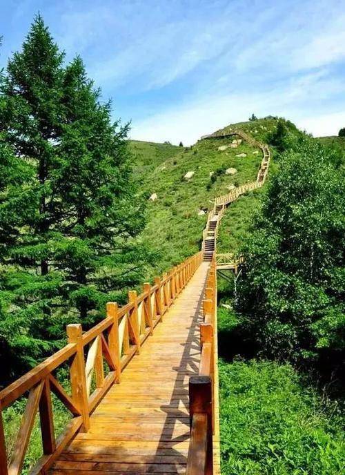 诗一首驼梁花海