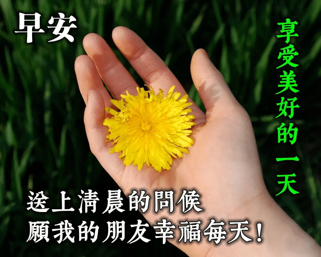 朋友圈早安问候语图片带字周一清晨唯美的早晨祝福图片表情