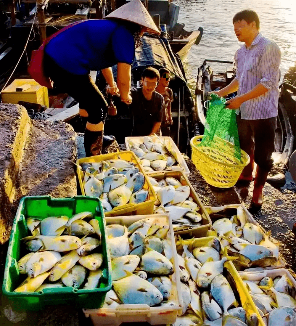 到处都是海鲜走进东兴海产品市场防城港的企沙市场,金滩都是这番景象