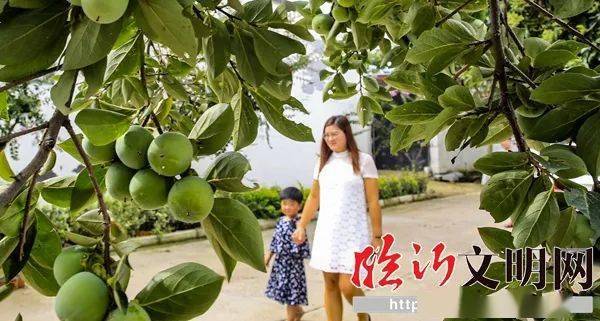 兰山区半程镇美丽乡村入画来