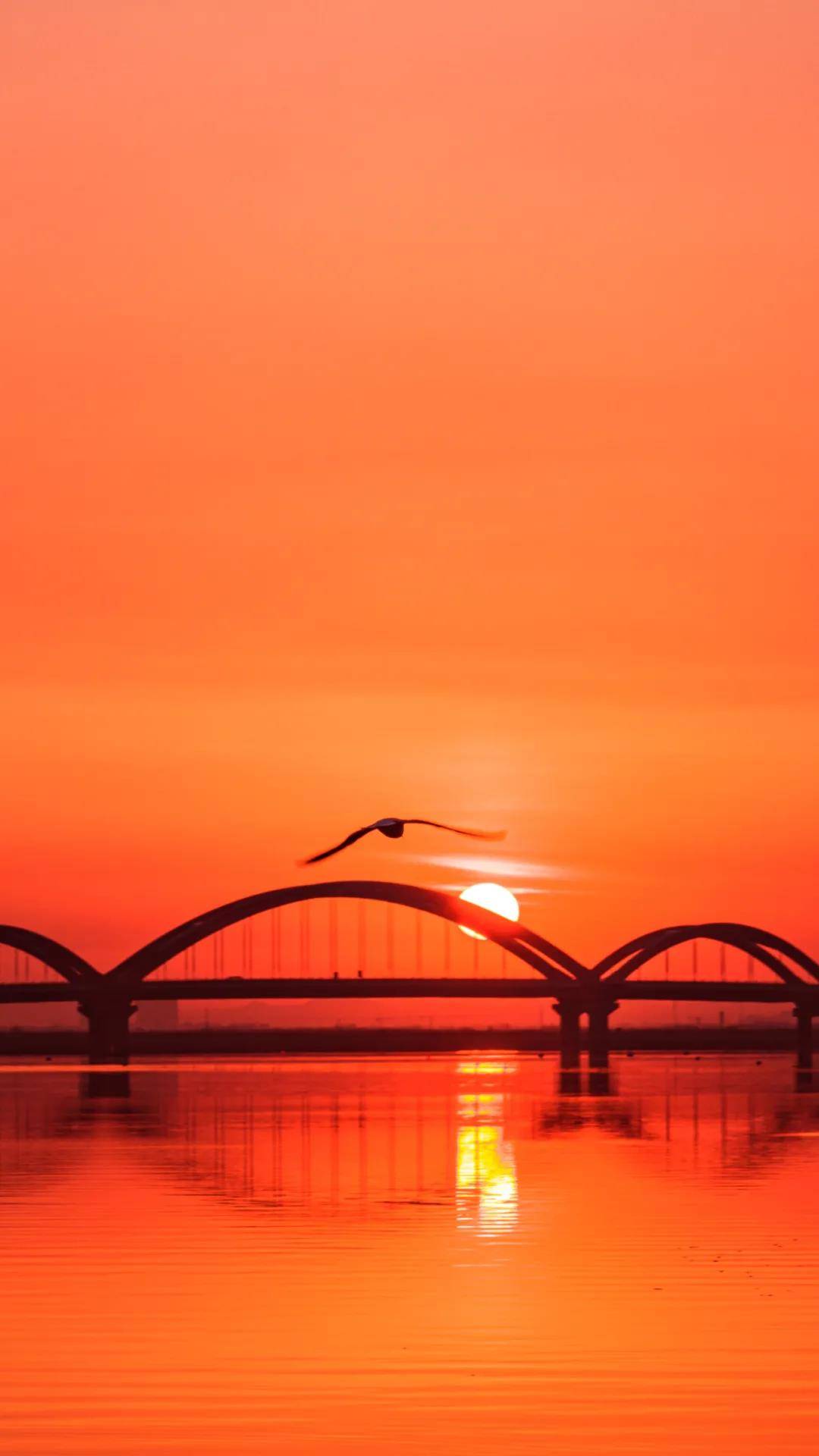 烟台版手机壁纸第一弹!无水印,快收藏