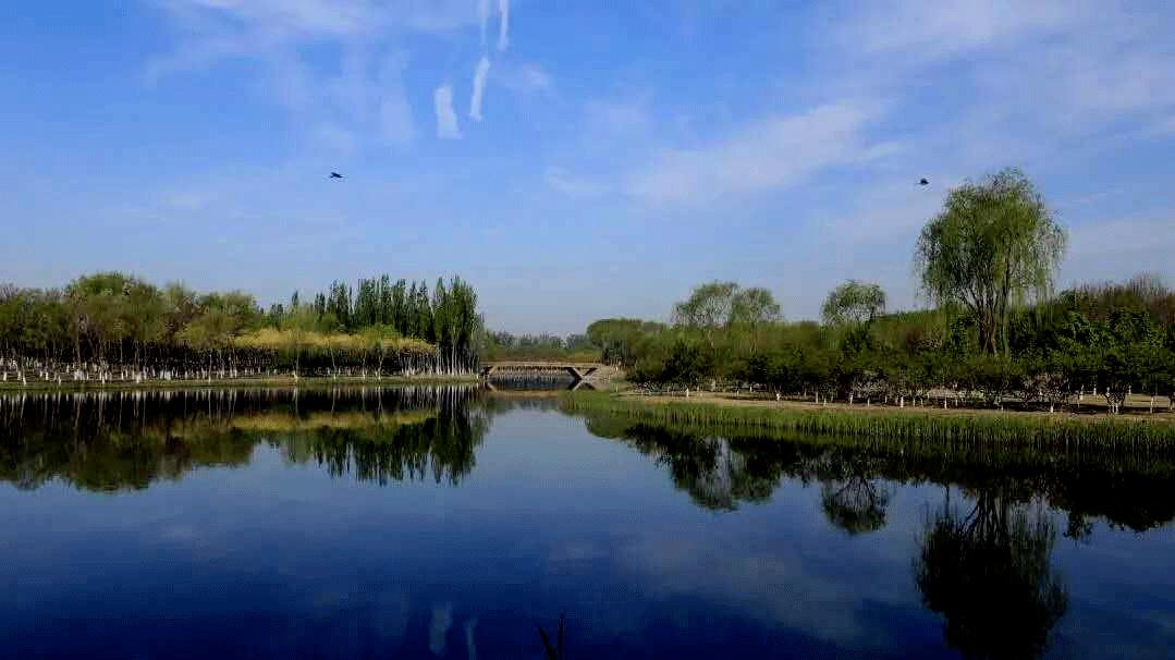 碧水保卫战丨坚持三水共治大兴区全面提升辖区水生态环境