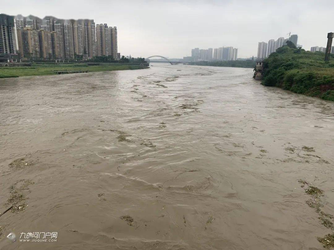 四川资阳洪水图片