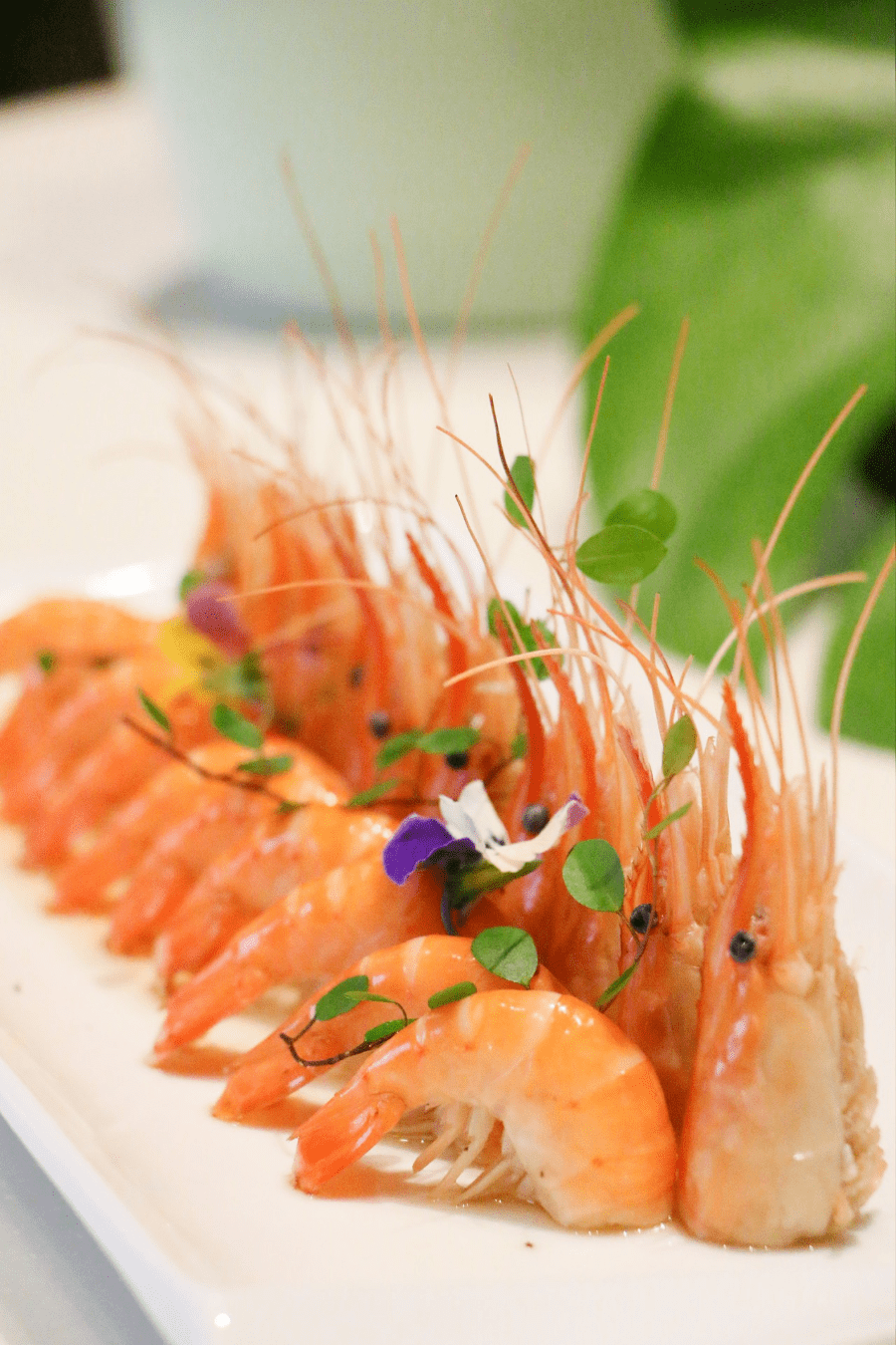 沉醉于美食之趣兰蕊,玉兰推陈换新美庐心意呈现多款美馔佳肴等待着