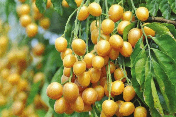 600_400gif 动态图 动图