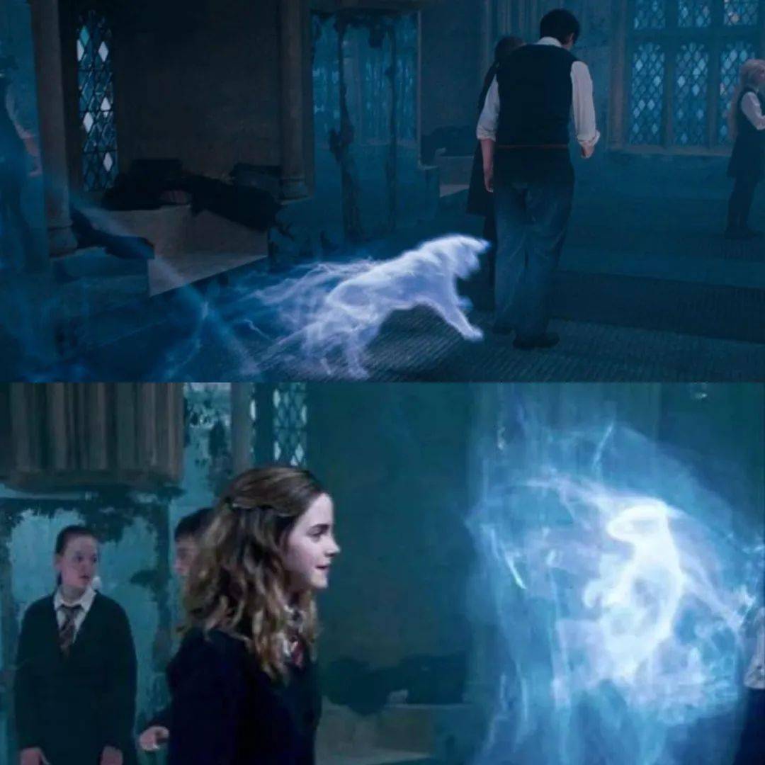 而水獭,就是赫敏的守护神.