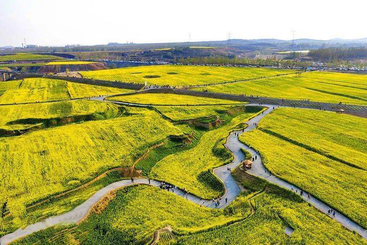 金沙河红薯岭两周年