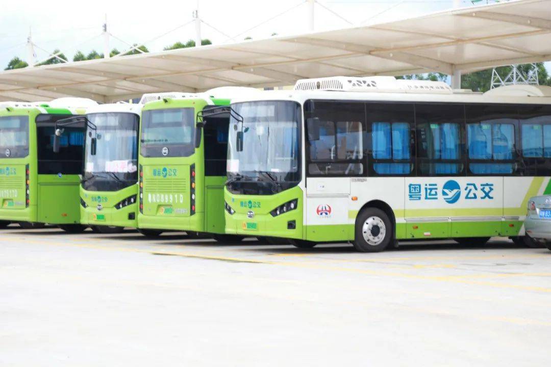 海丰关于中小学生优惠乘坐县城公交车有关事项的通告