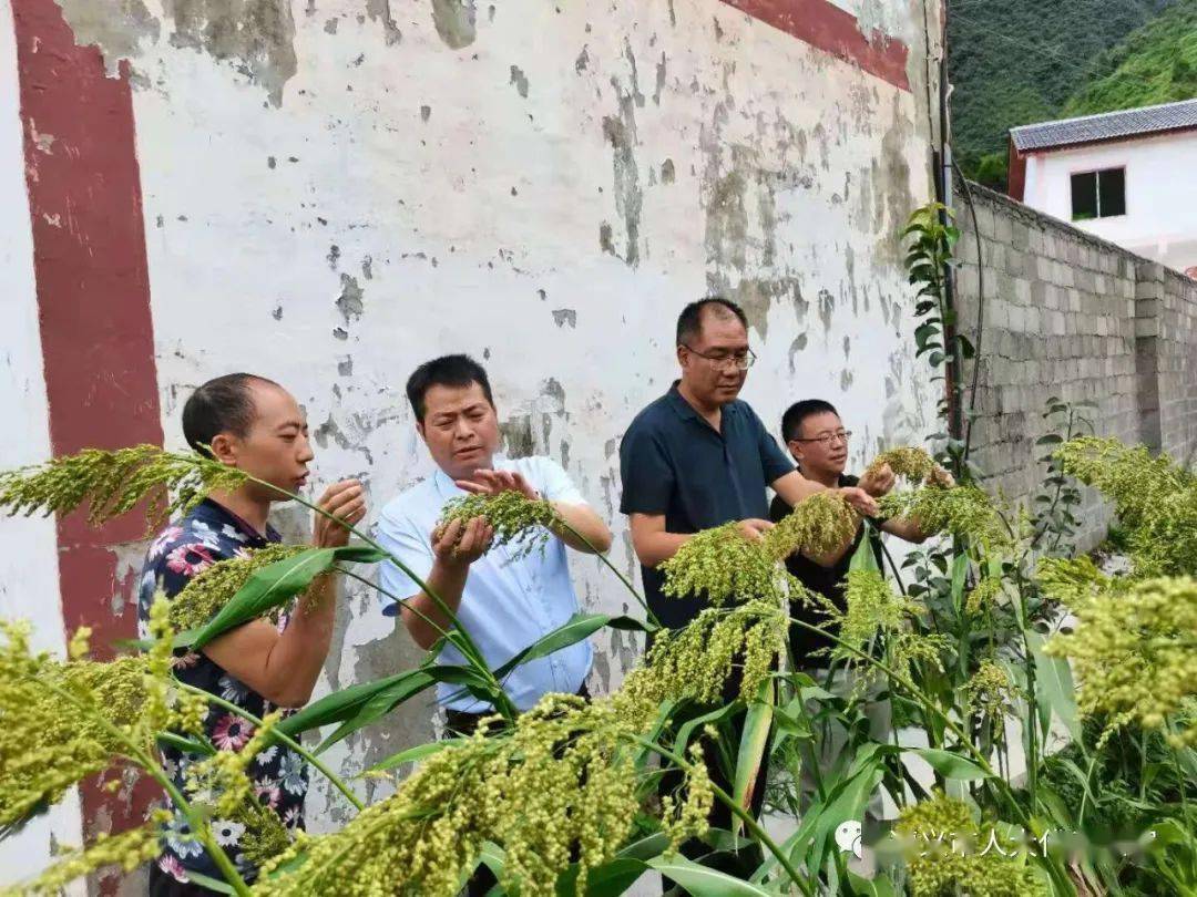 县区动态丨桐梓县人大常委会主任王官忠到黄莲乡开展乡村振兴 领军