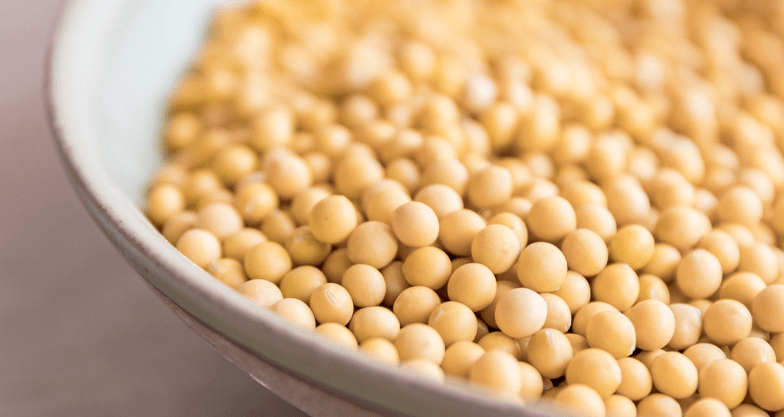 此外,大豆及其制品还含有膳食纤维,大豆异黄酮,大豆磷脂等功能性成分.