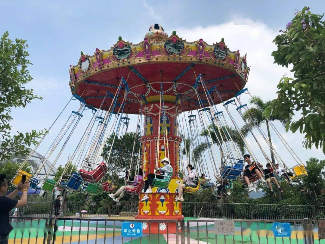 厦门市石狮商会以梦为翼让心飞翔欢乐亲子游