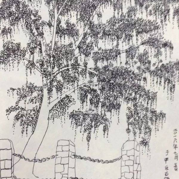 重庆工商大学影视动画学院平乐古镇写生满载而归