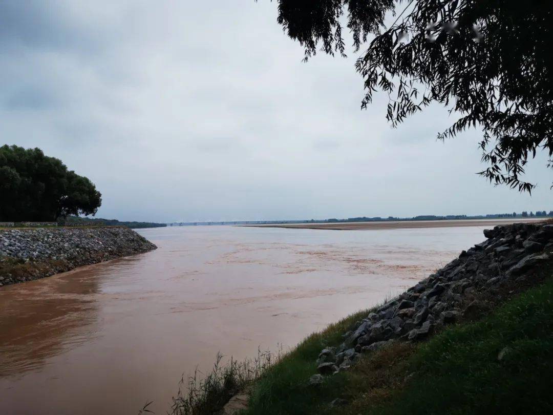 河南封丘:黄河岸边好风光