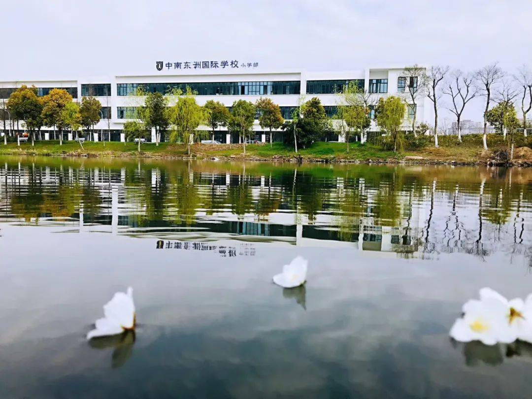 2020年海门中南东洲国际学校面向社会公开招聘教师公告