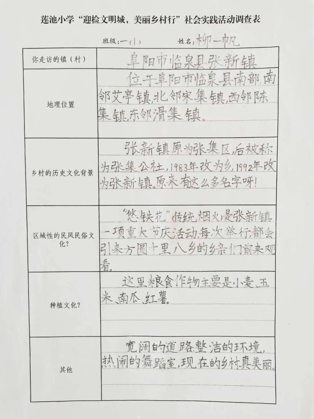 调查表阜阳市莲池小学的孩子们寻访了跃变中的美丽乡村家乡的小事成了