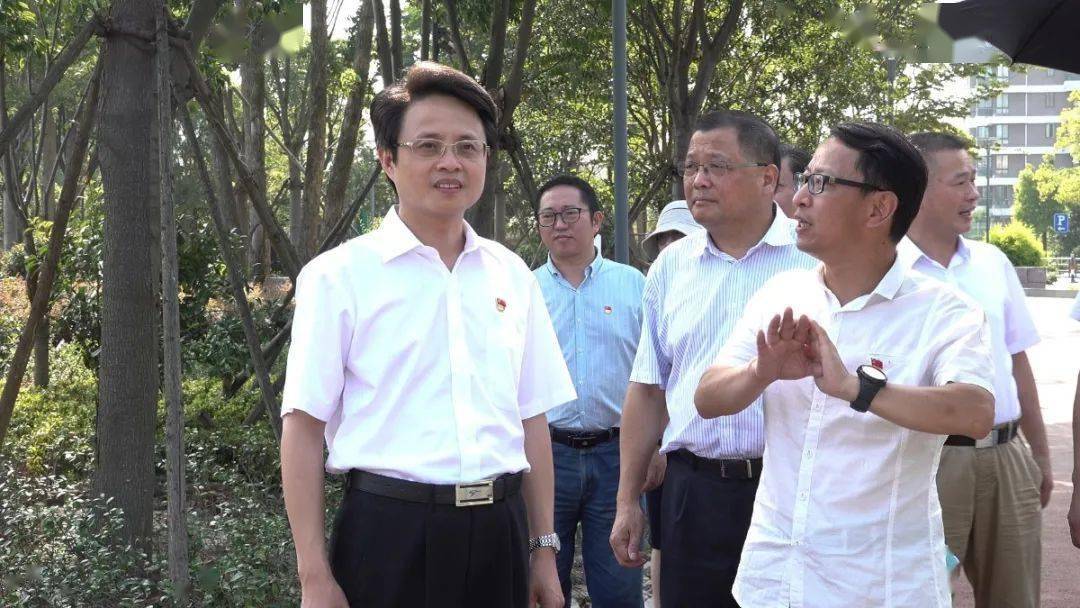 法治秀洲普法先行丨嘉兴市中级人民法院院长姚海涛赴秀洲区督查验收七