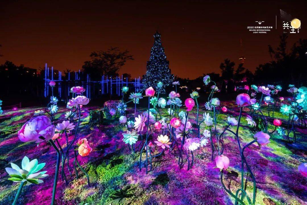 8月20日起晚上来玉渊潭公园看场樱花雨