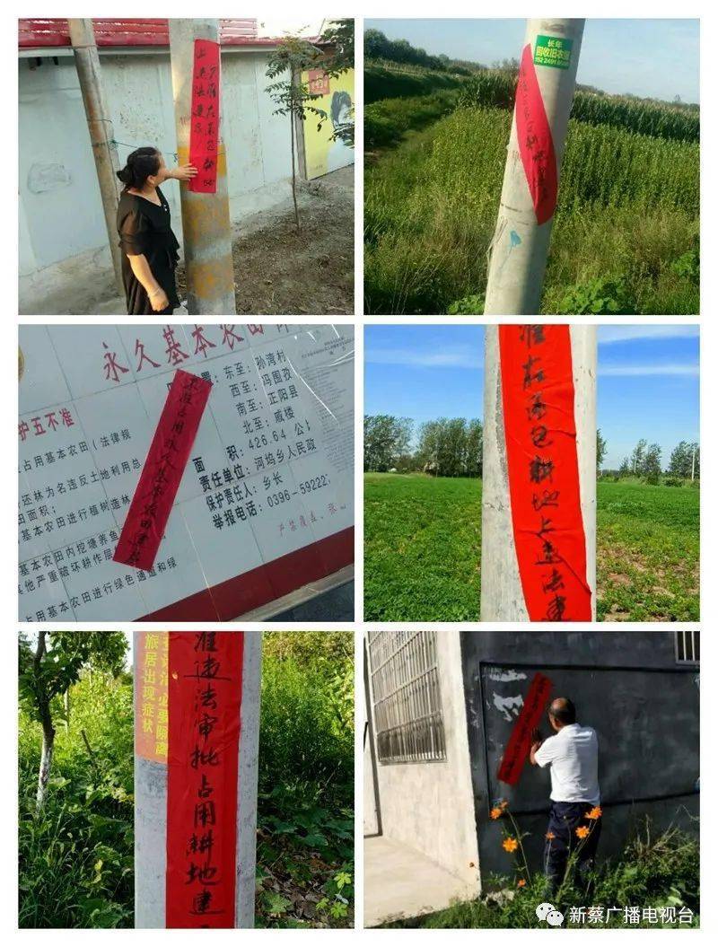 新蔡县河坞乡多措并举严守耕地红线