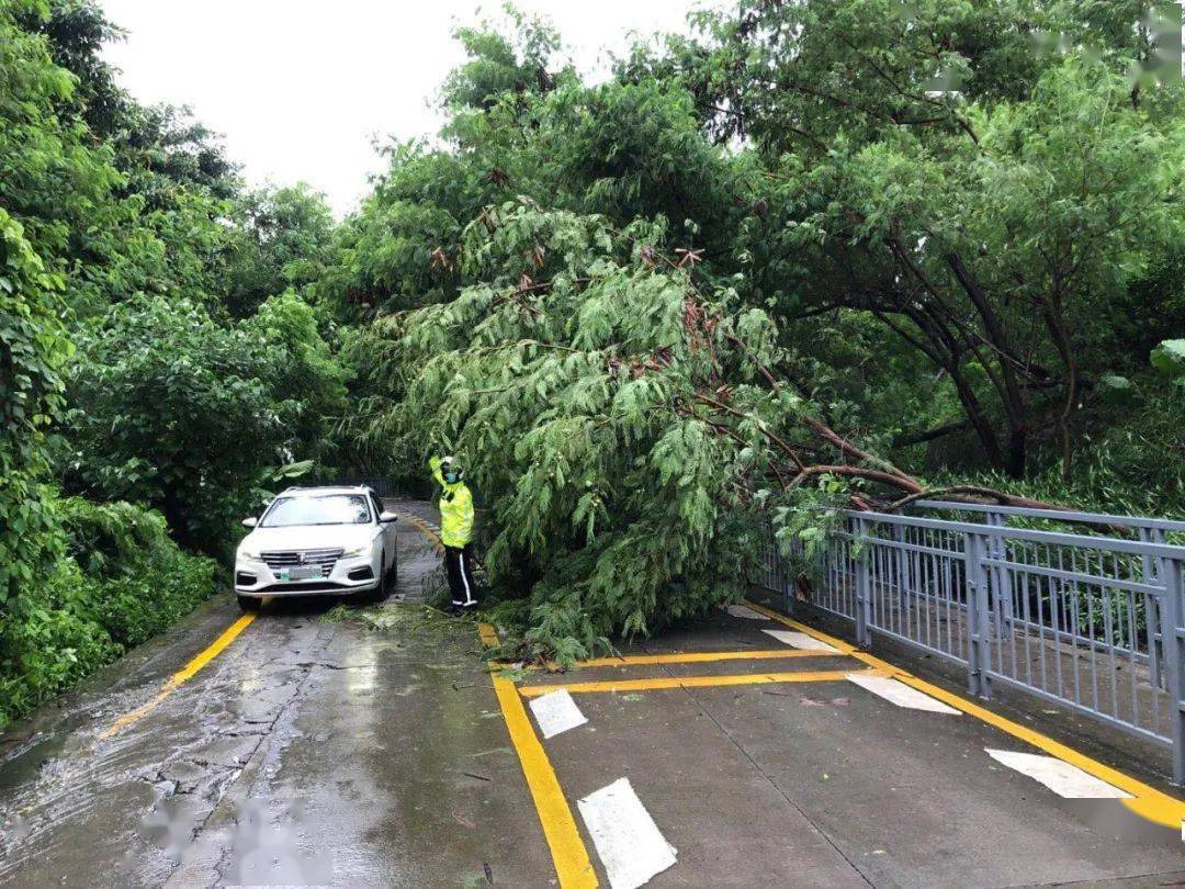 台风登陆广东,暴雨 雷电 大风,车损险,涉水险如何理赔?