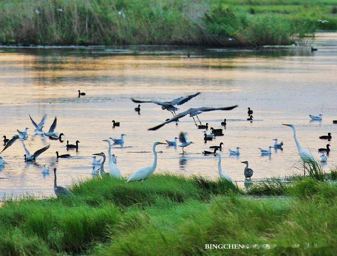 三江自然湿地保护区图片