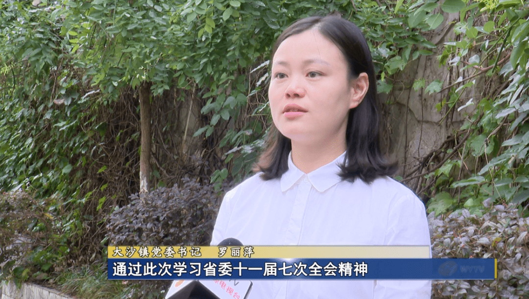 大沙镇党委书记 罗丽萍通过此次学习省委十一届七次全会精神,我对建设
