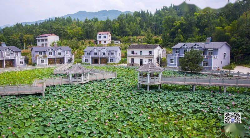 一大波美图来袭开州乡村风景美如画