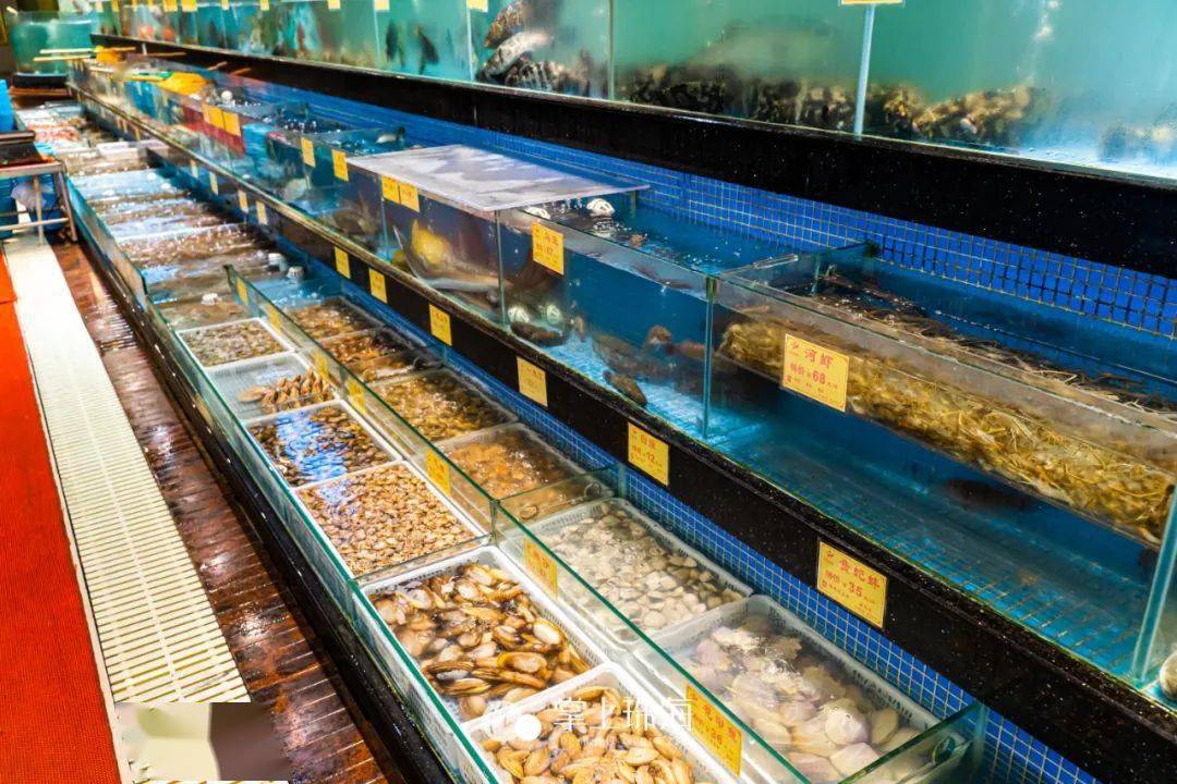 珠海最贵的餐厅图片