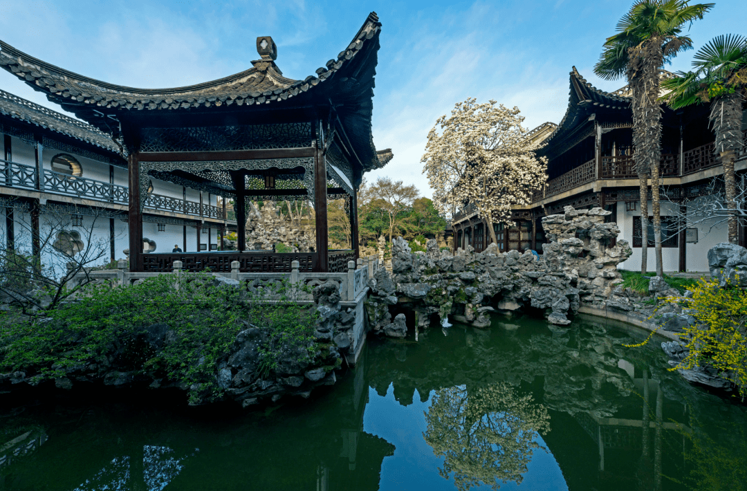 中苗会研学招募丨江淮名园扬州南京园林深度研学之旅