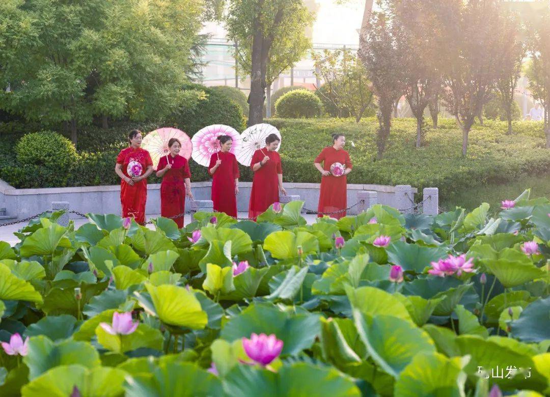 遇见砀山公园之——砀山环城河公园!