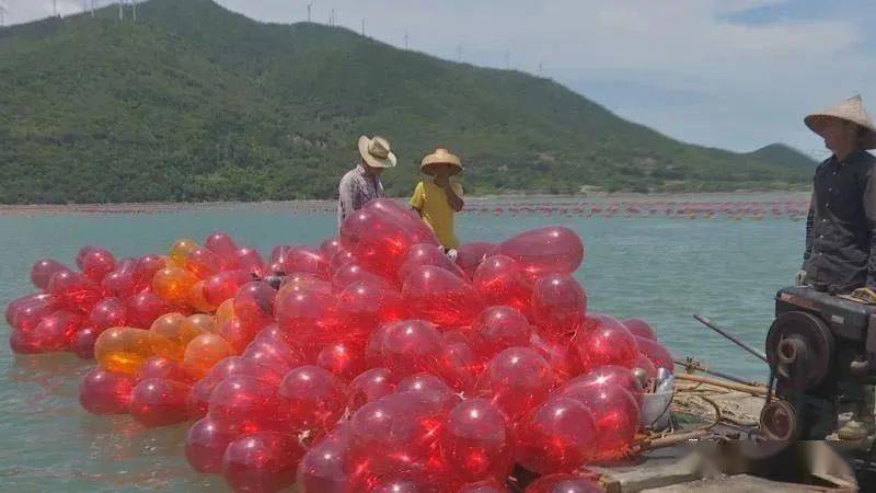 南澳｜打造多彩“海上牧场” 推动海域生态养殖_浮球