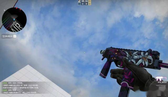 野百合来自圣马克镇收藏品,是裂网大行动掉落皮肤,也是ak-47|野荷的