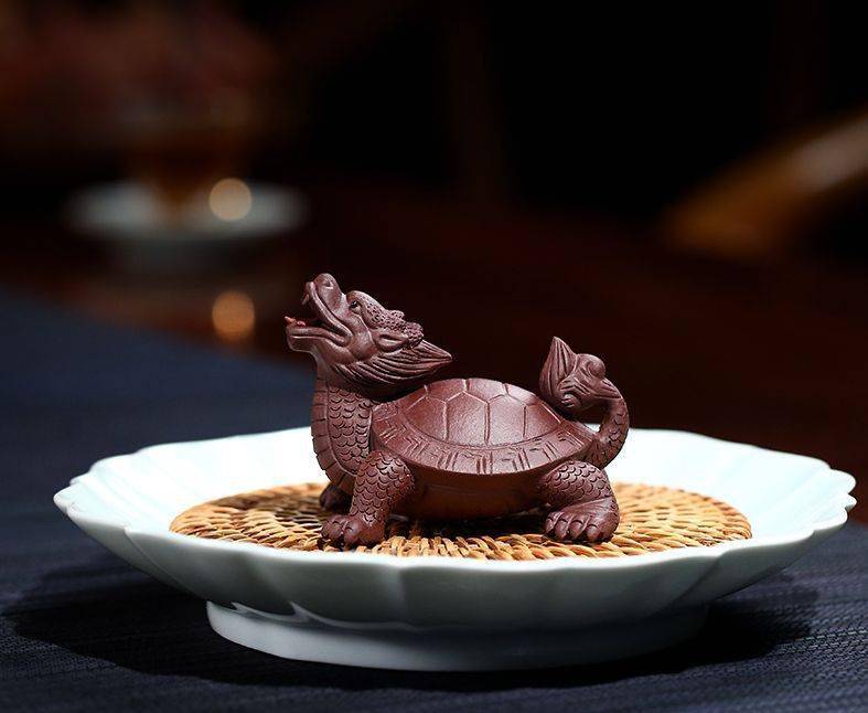 人养茶宠一时,茶宠养人一世